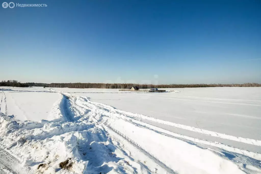 Участок в Тюменский район, деревня Речкина (50 м) - Фото 1