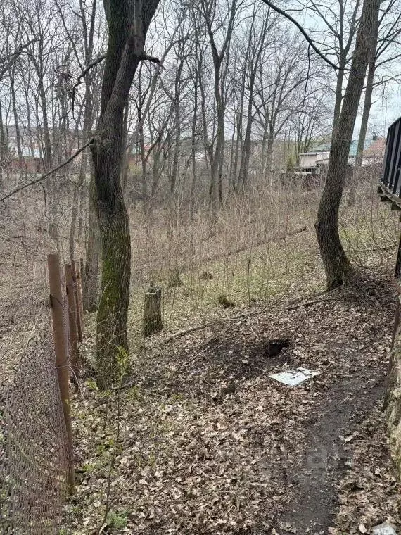 Участок в Самарская область, Самара Ясная Поляна СНТ, 294Б (6.0 сот.) - Фото 2