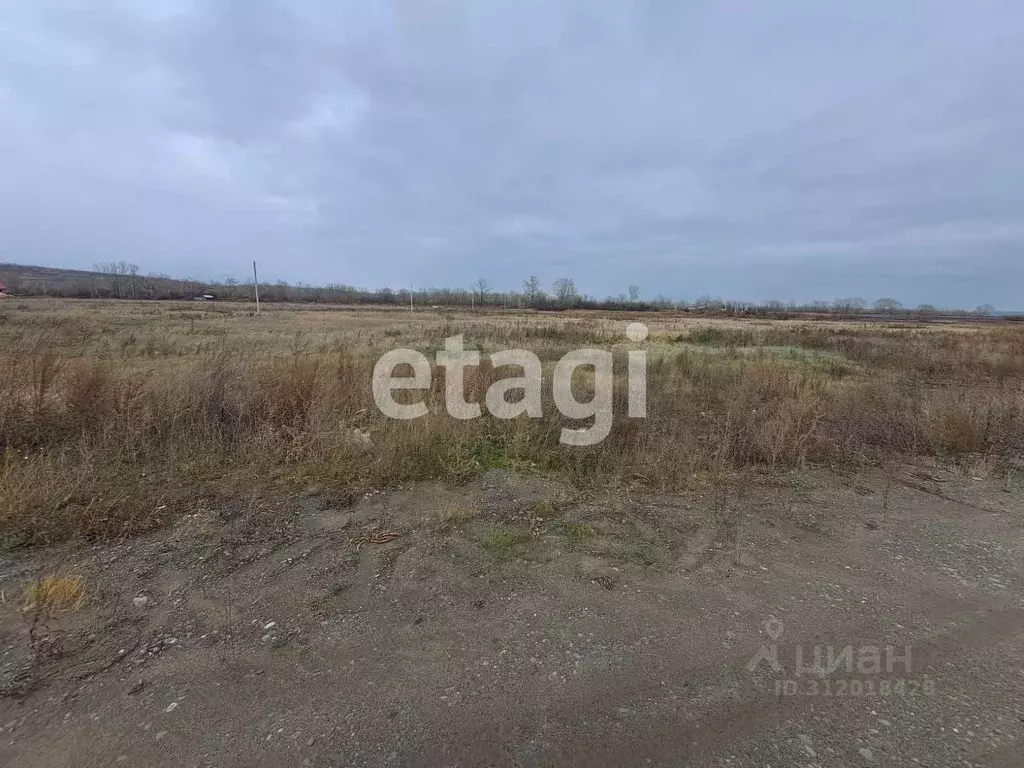 Участок в Красноярский край, Емельяновский район, Частоостровский ... - Фото 1