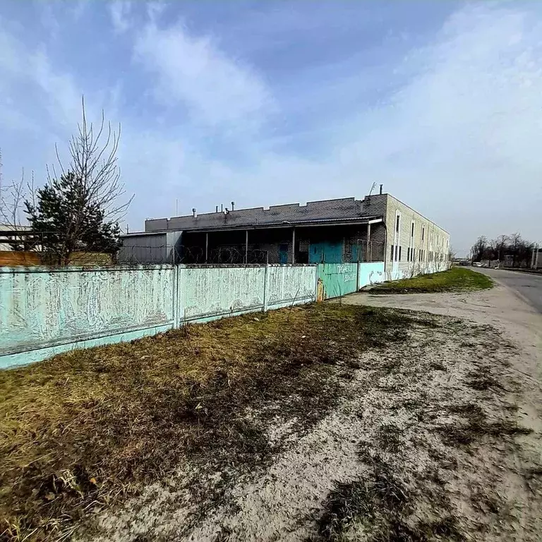 Производственное помещение в Брянская область, Сельцо ул. Строителей, ... - Фото 1