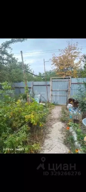 Дом в Саратовская область, Саратов Дружба СНТ,  (36 м) - Фото 2