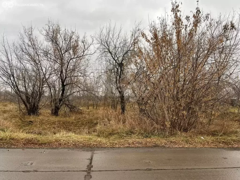 Участок в село Шорохово, Кленовая улица (20 м) - Фото 1