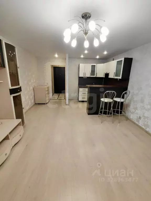 Студия Псковская область, Псков Инженерная ул., 114 (28.5 м) - Фото 2