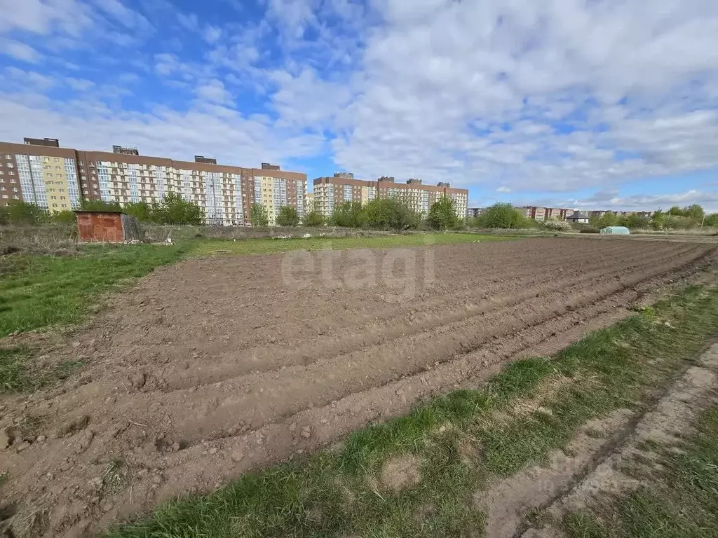 Участок в Брянская область, Брянский район, Снежское с/пос, пос. ... - Фото 2