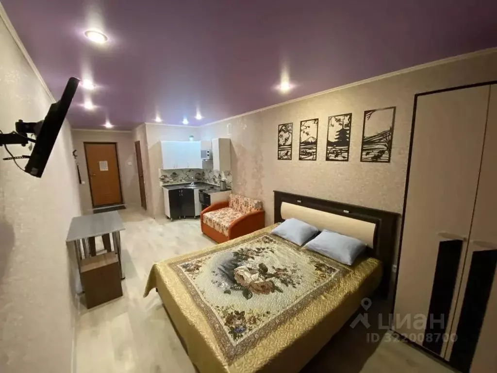 1-к кв. Саратовская область, Саратов Огородная ул., 157 (26.0 м) - Фото 1