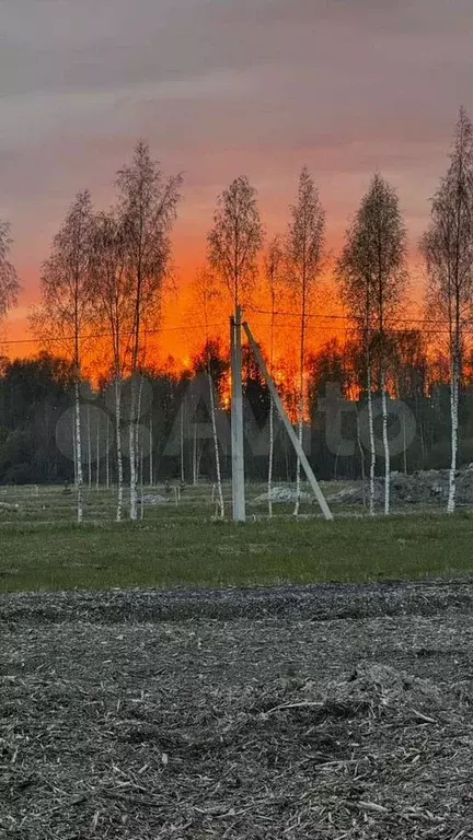 Участок 8 сот. (СНТ, ДНП) - Фото 1
