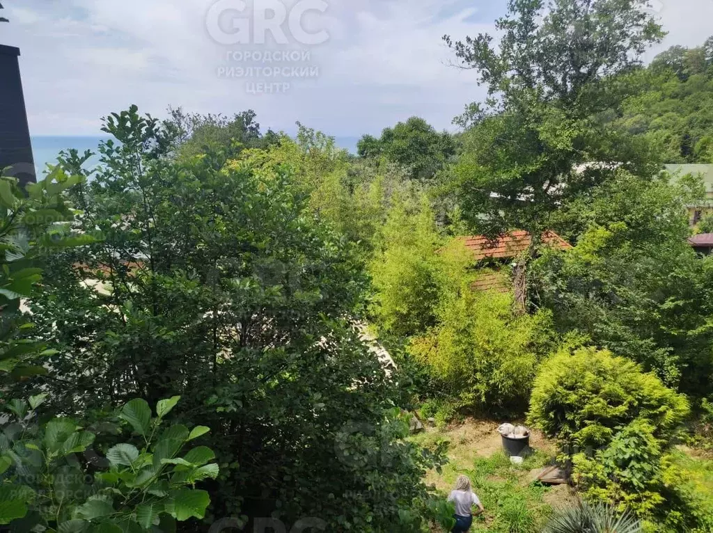 Участок в Краснодарский край, Сочи ул. Ручей Видный (8.0 сот.) - Фото 1