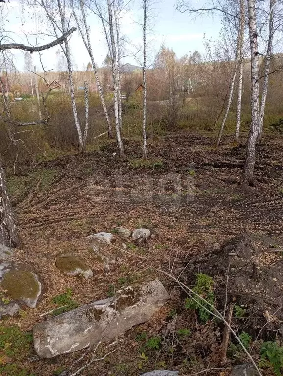 Участок в Алтайский район, Айский сельсовет, село Ая (12.8 м) - Фото 2