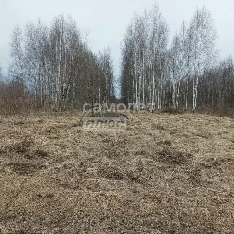 Участок в Владимирская область, Камешковский район, с. Второво ... - Фото 1