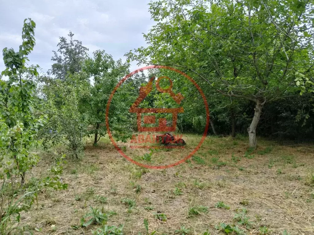 Участок в Краснодарский край, Армавир городской округ, Красная Поляна ... - Фото 0