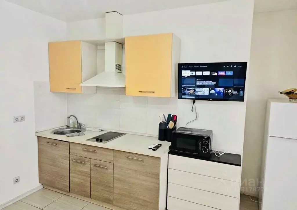 Студия Краснодарский край, Сочи Виноградная ул., 4 (25.0 м) - Фото 2