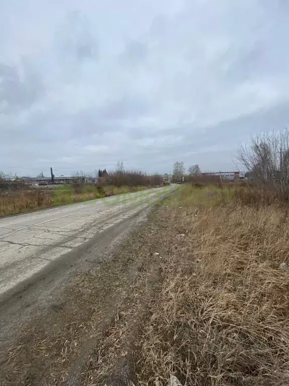 Участок в Новосибирская область, Новосибирский район, Толмачевский ... - Фото 0