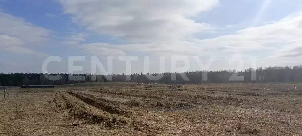 Участок в Калужская область, Совхоз Боровский с/пос, д. Уваровское ул. ... - Фото 1