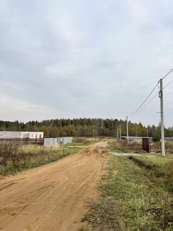 Участок в Владимирская область, Александровский район, Каринское ... - Фото 1