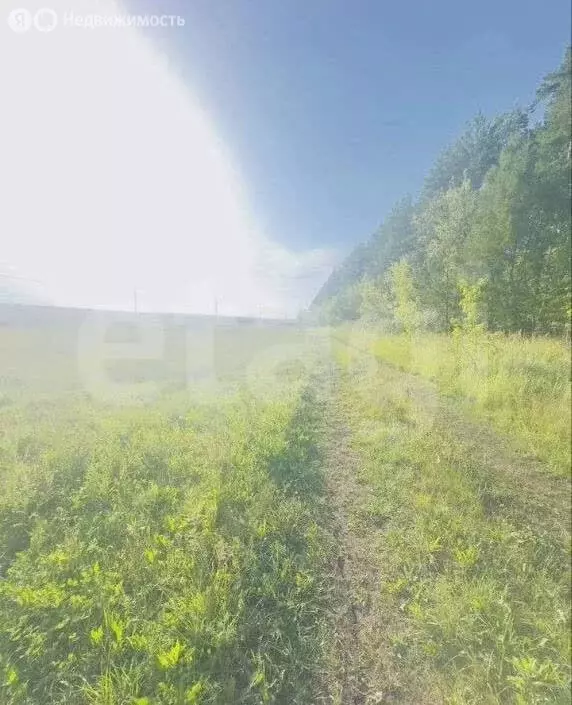 Участок в Лямбирский район, Берсеневское сельское поселение, село ... - Фото 2