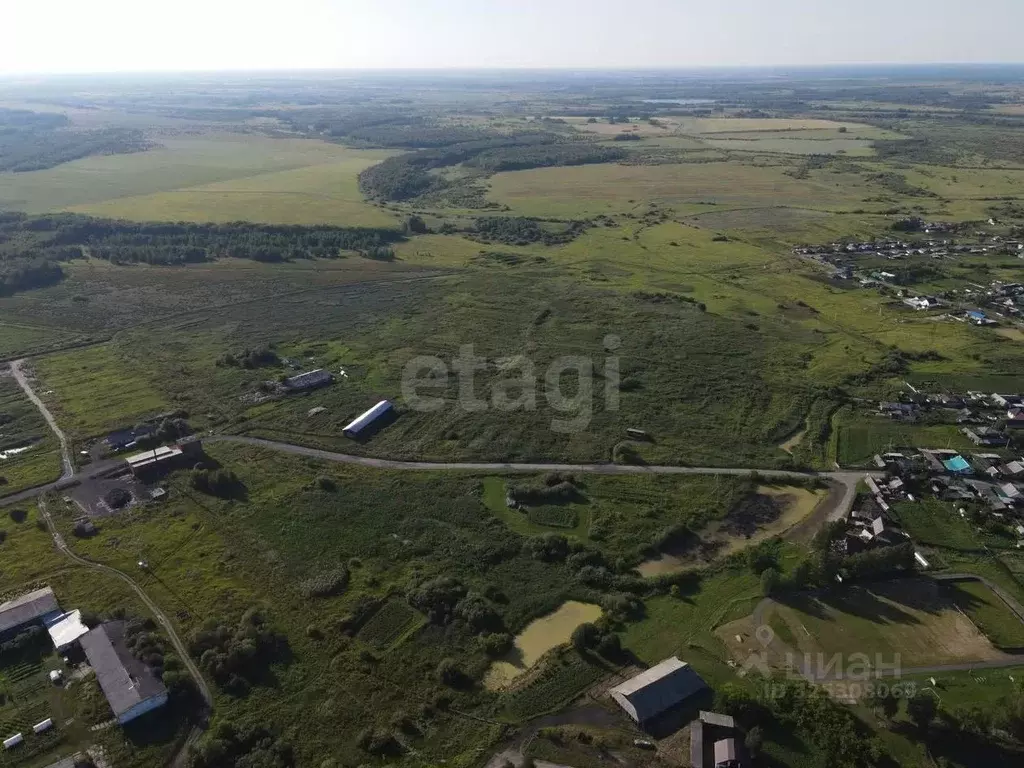Участок в Свердловская область, Слободо-Туринский район, ... - Фото 1