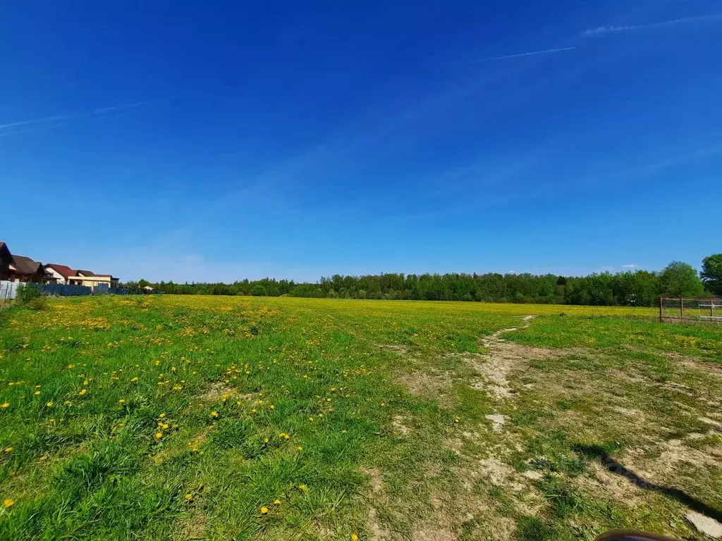 Участок в Московская область, Солнечногорск городской округ, д. ... - Фото 1