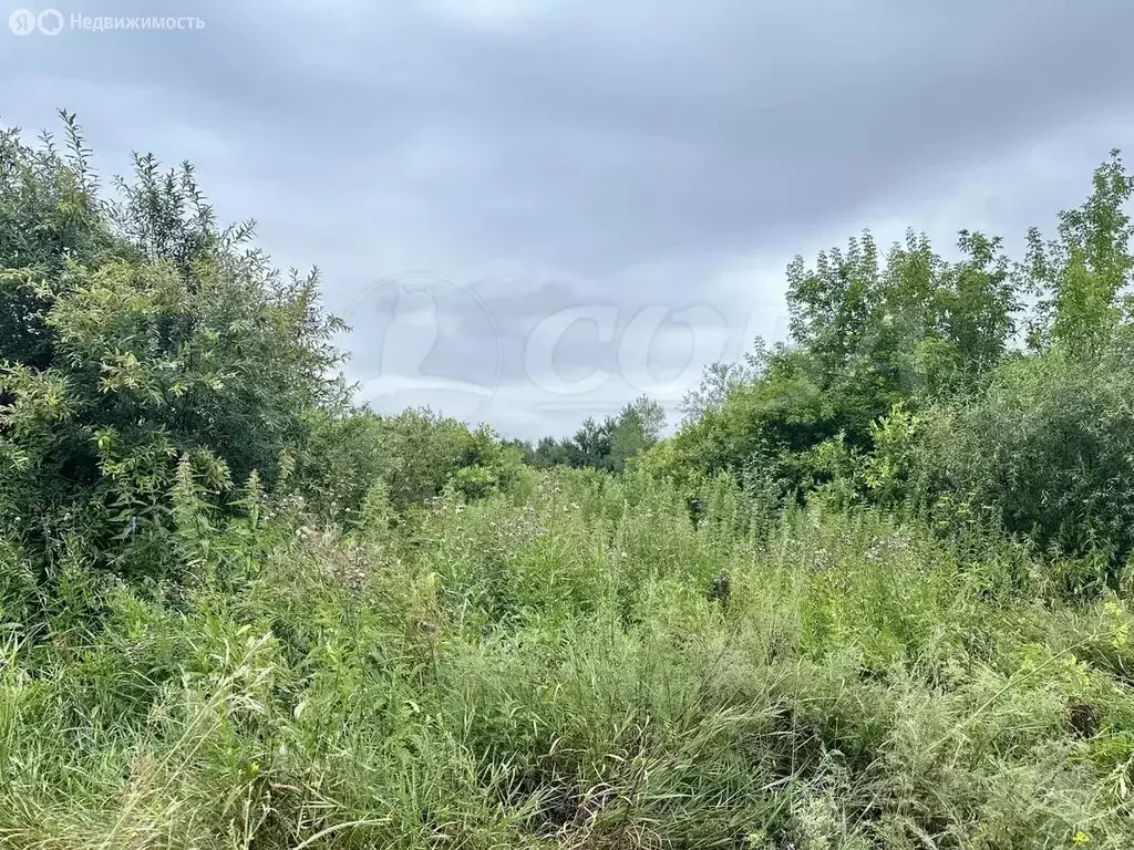 Участок в Курганская область, село Кетово (10 м) - Фото 0