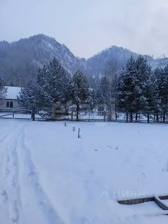 Дом в Алтай, Чемальский район, с. Чемал ул. Березовая, 15 (33 м) - Фото 1