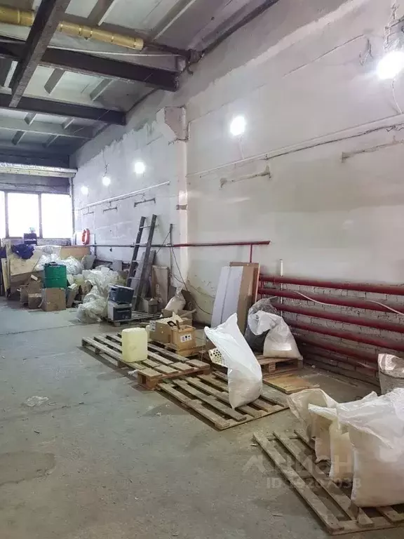 Помещение свободного назначения в Новосибирская область, Новосибирск ... - Фото 1