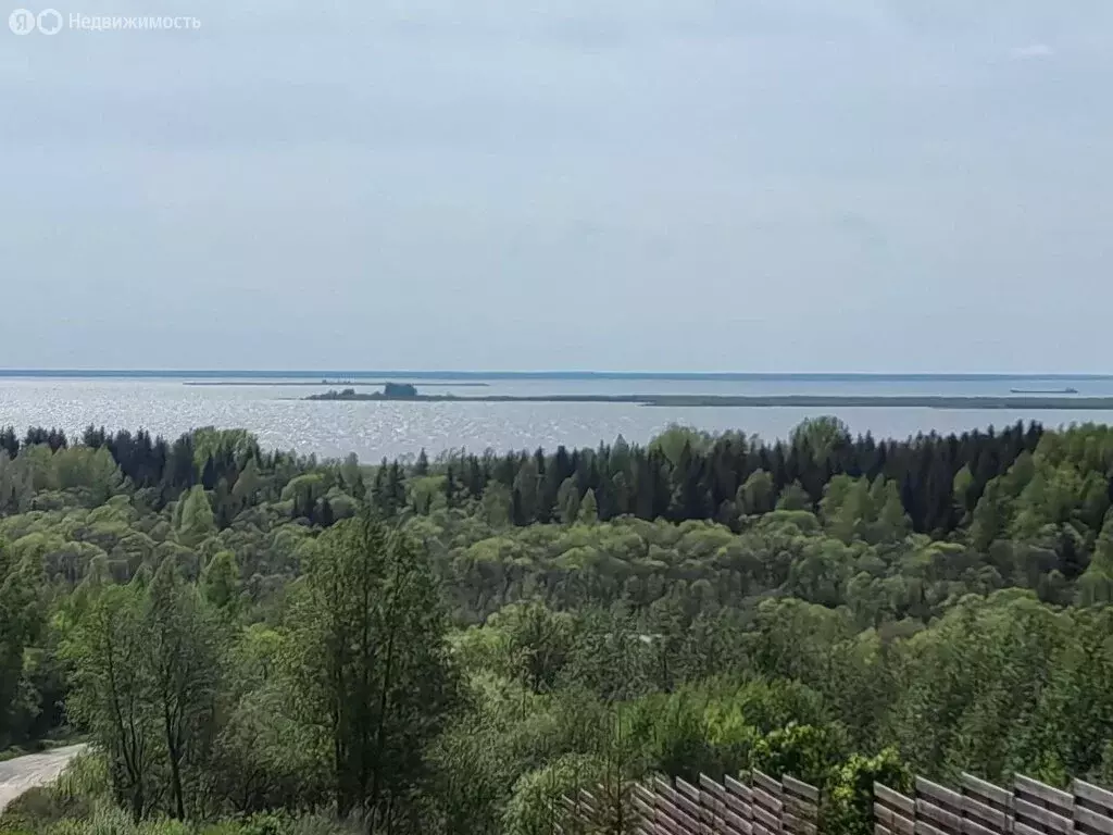 Дом в муниципальное образование Мяксинское, деревня Кустец (50 м) - Фото 1