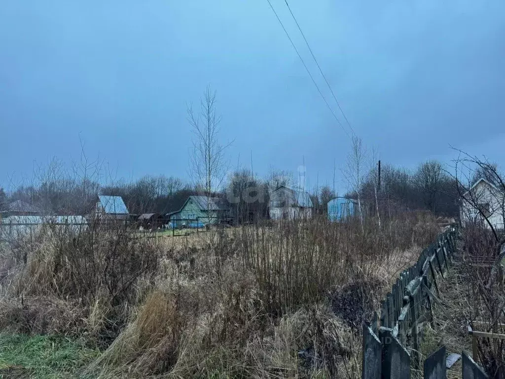 Участок в Костромская область, Костромской район, Караваевское с/пос, ... - Фото 2