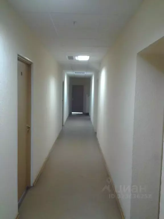 Офис в Коми, Сыктывкар ул. Карла Маркса, 192 (20 м) - Фото 2