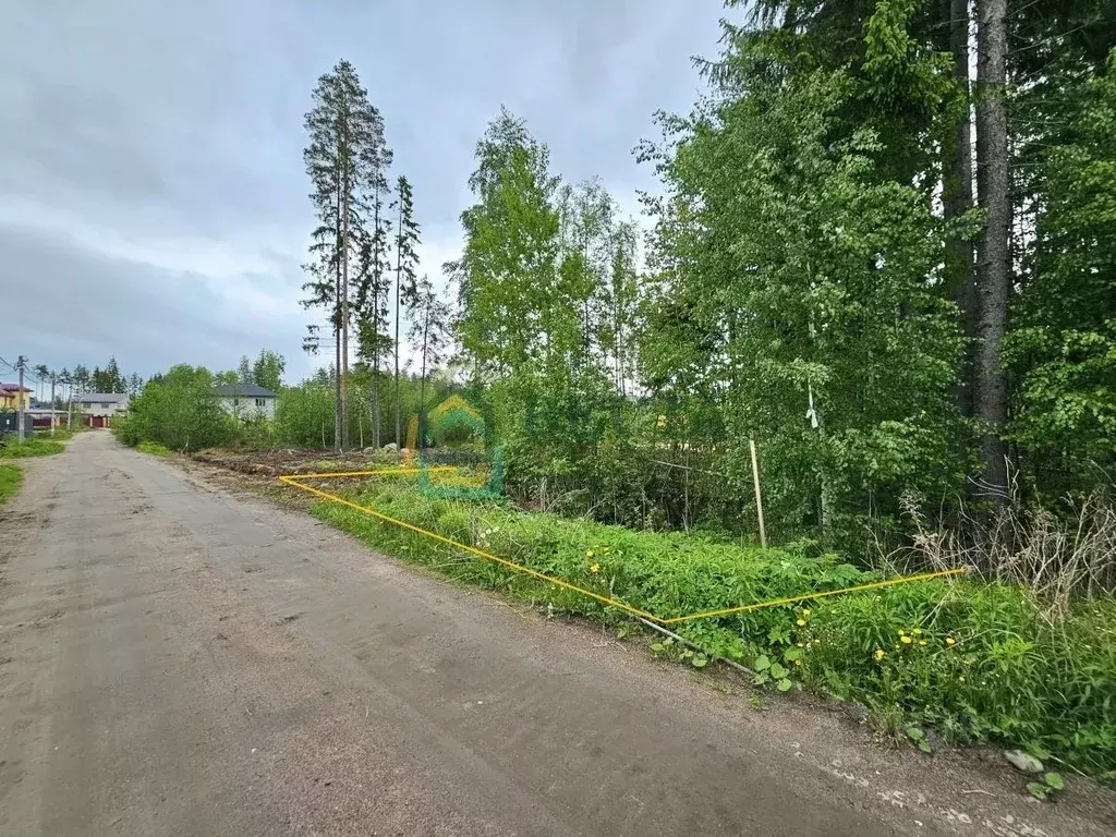 Участок в Ленинградская область, Ломоносовский район, Виллозское ... - Фото 1