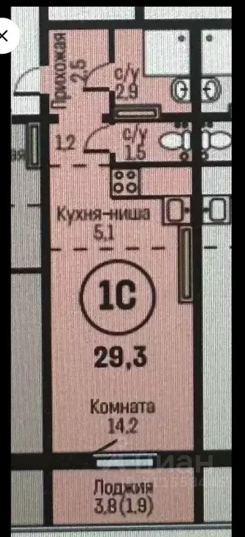 Студия Алтайский край, Барнаул городской округ, Южный рп  (29.3 м) - Фото 2