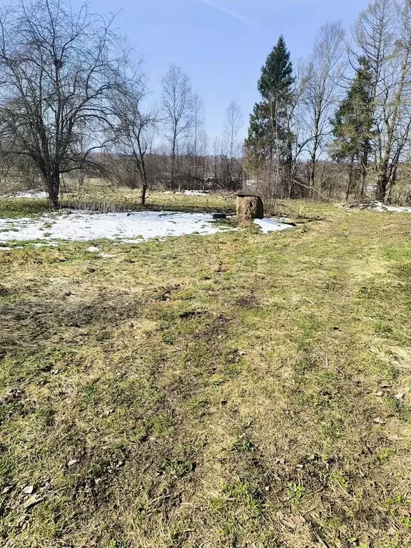 Участок 26,5 сот. (ИЖС) - Фото 1