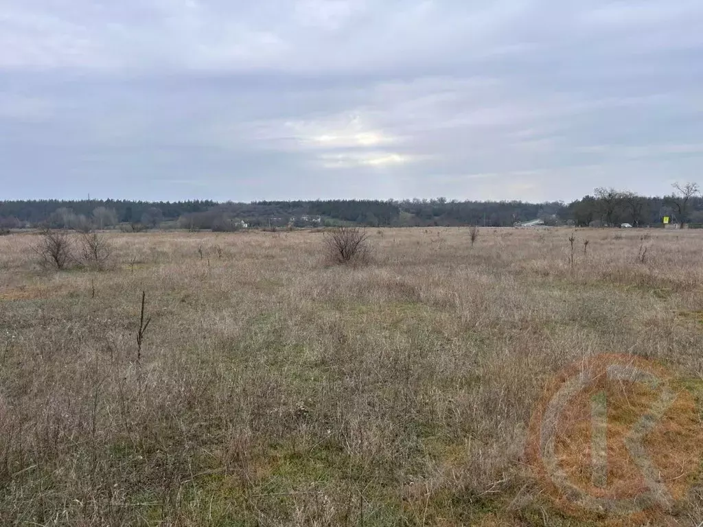 Участок в Крым, Сакский район, Ореховское с/пос, с. Чеботарка ул. ... - Фото 1