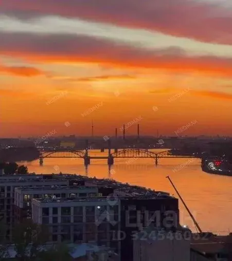 3-к кв. Санкт-Петербург Общественный пер., 5 (75.0 м) - Фото 2