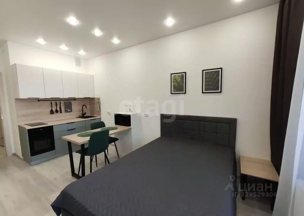 Студия Санкт-Петербург Фарфоровская ул., 7к2 (24.2 м) - Фото 2