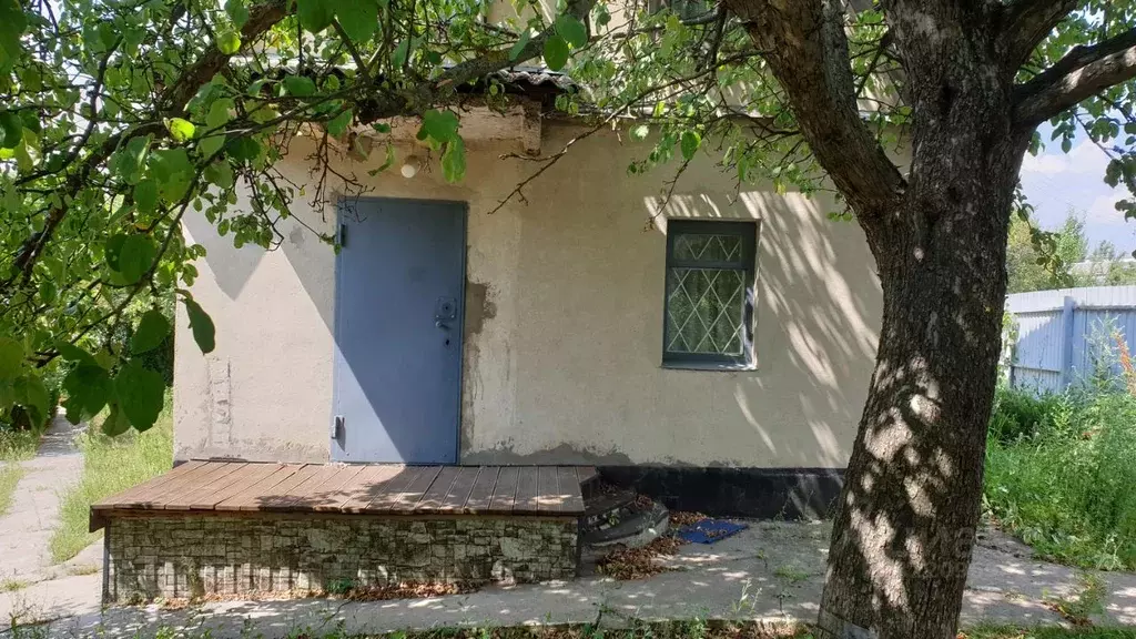 Дом в Воронежская область, Рамонский район, Березовское с/пос, Ивницы ... - Фото 2