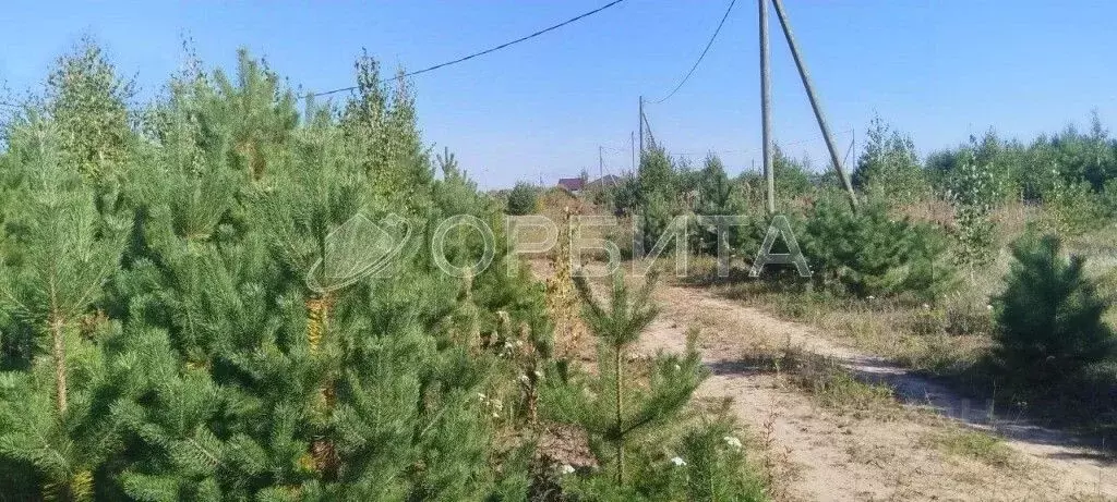 Участок в Тюменская область, Тюменский муниципальный округ, Нива СНТ ... - Фото 2