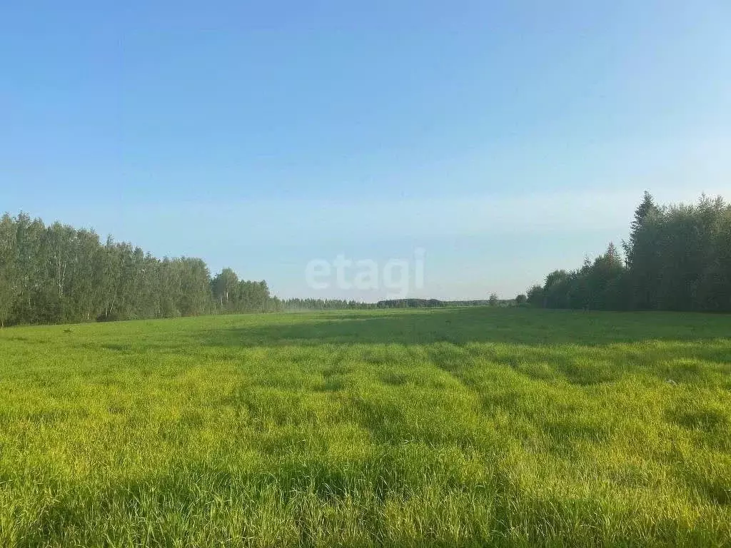 Участок в Ярославская область, Ярославский район, Заволжское с/пос, д. ... - Фото 0