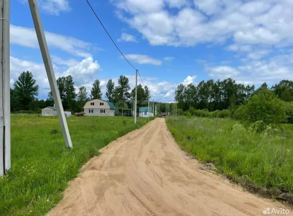 Участок в Ярославская область, Некрасовский муниципальный округ, д. ... - Фото 1