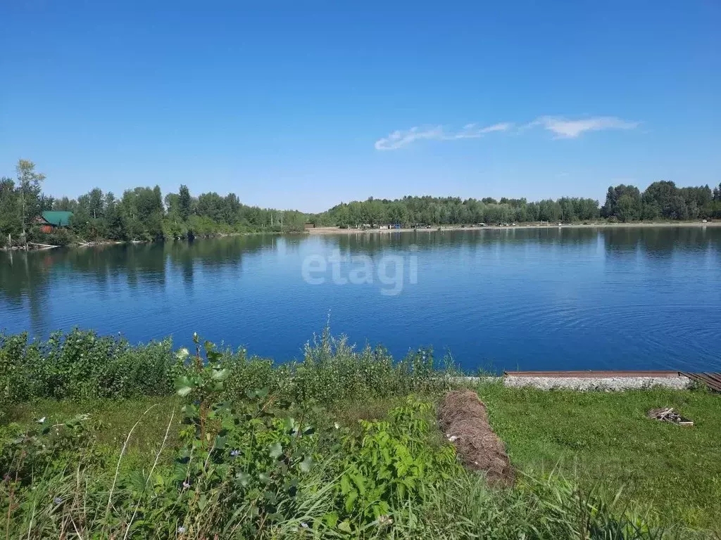 Участок в Алтайский край, Бийский район, Чуйский СНТ ул. Береговая ... - Фото 0