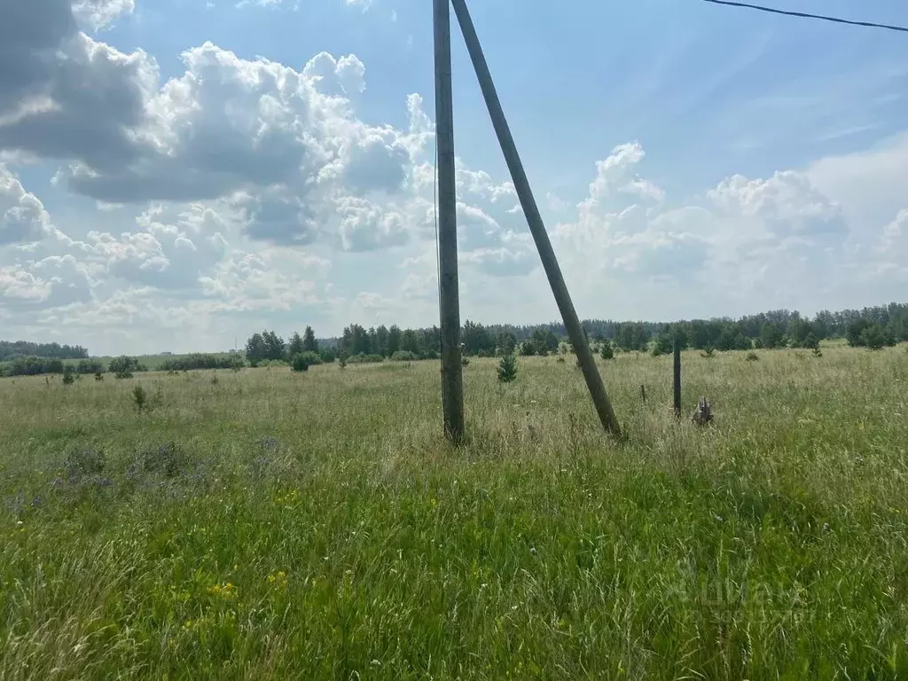 Участок в Свердловская область, Белоярский городской округ, с. ... - Фото 1