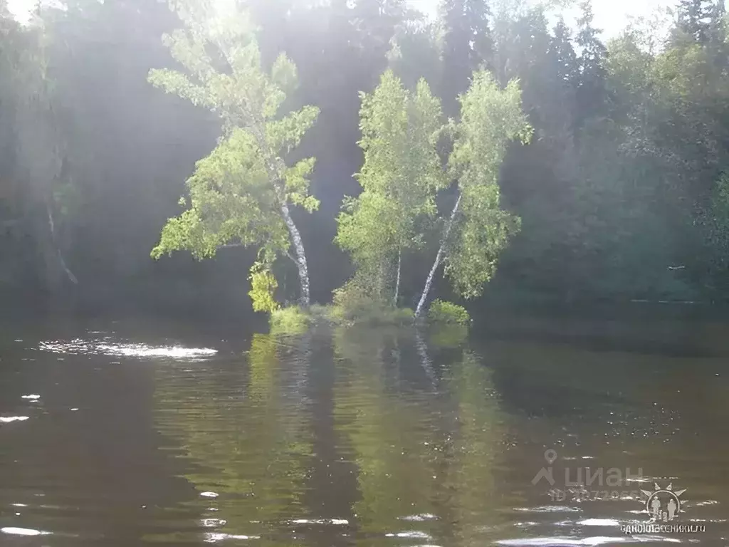 дом в московская область, солнечногорск городской округ, березовая . - Фото 0