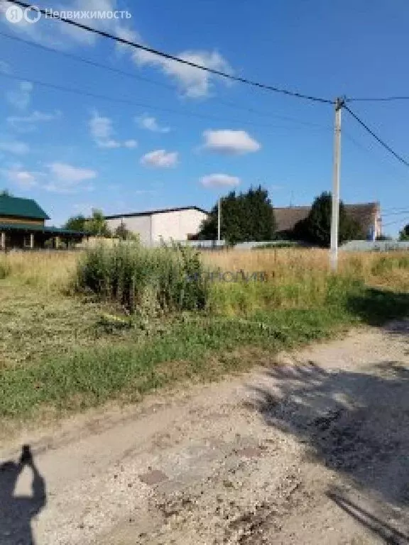 Участок в Нижегородская область, Богородский муниципальный округ, ... - Фото 1