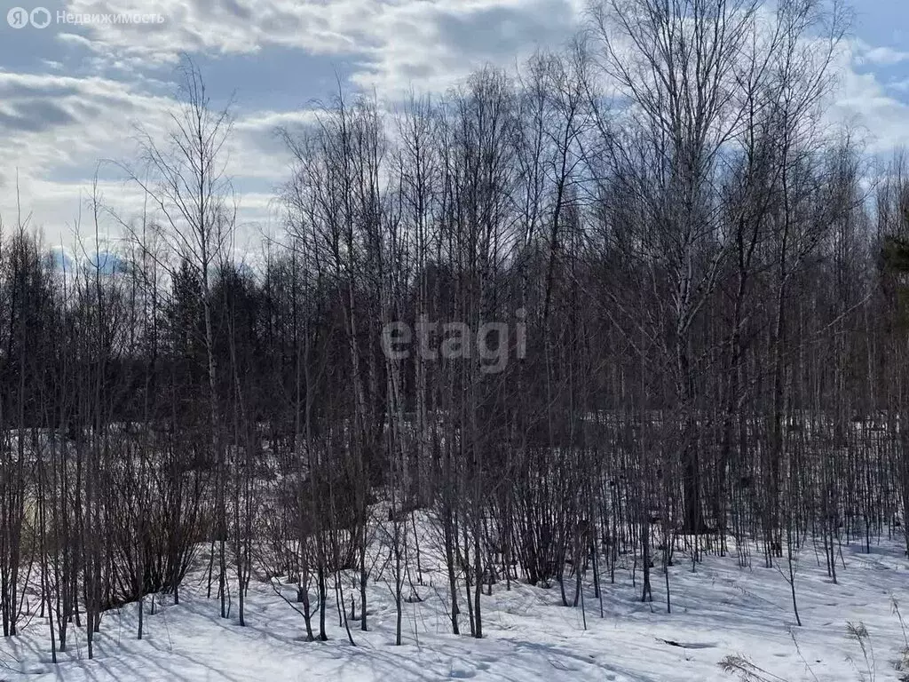 Участок в Нижегородская область, Городецкий муниципальный округ, ... - Фото 1