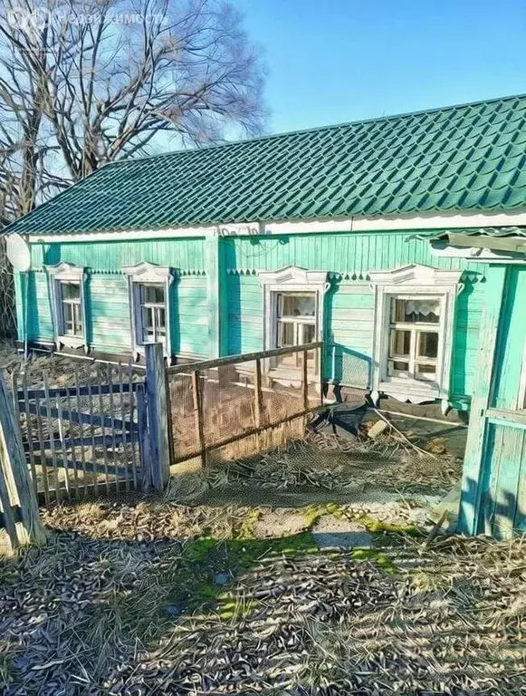 Дом в село Витуша, улица Панферовка, 11 (43.7 м) - Фото 1