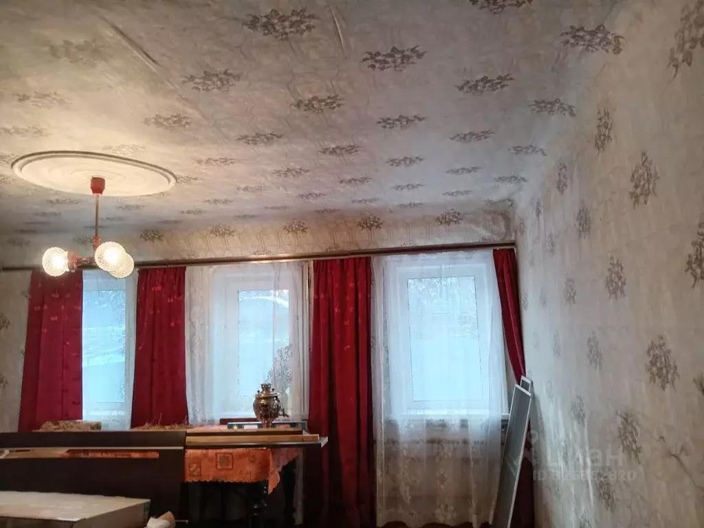 Дом в Нижегородская область, Бор Санаторная ул., 17 (56 м) - Фото 2