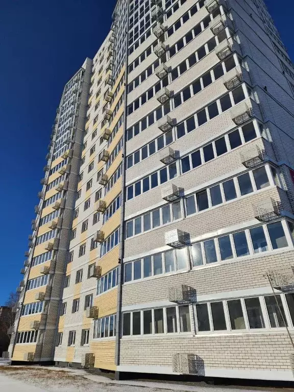 1-к кв. Амурская область, Благовещенский район, с. Чигири ул. ... - Фото 1