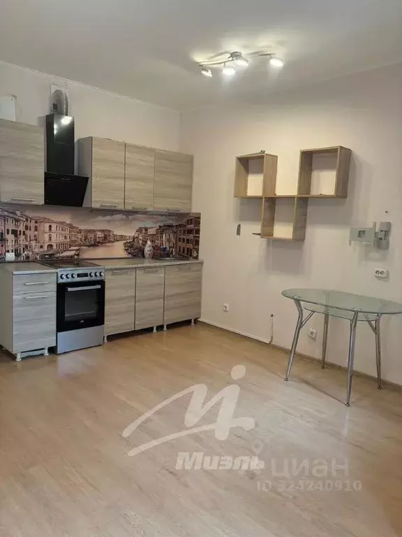 Студия Московская область, Ленинский городской округ, Мисайлово пгт ... - Фото 1