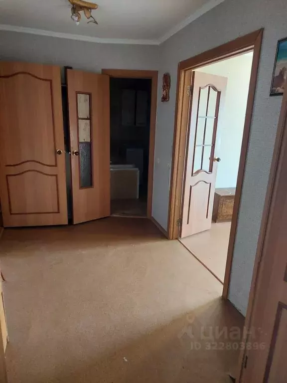 2-к кв. Владимирская область, Александров ул. Терешковой, 4/4 (42.0 м) - Фото 1