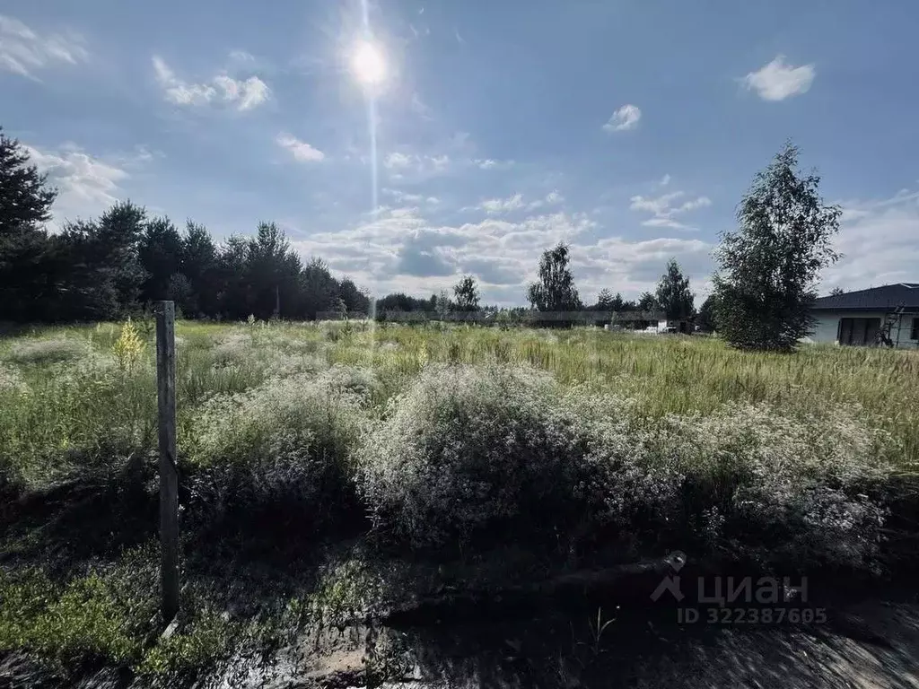 Участок в Воронежская область, Рамонский район, с. Новоживотинное ул. ... - Фото 1
