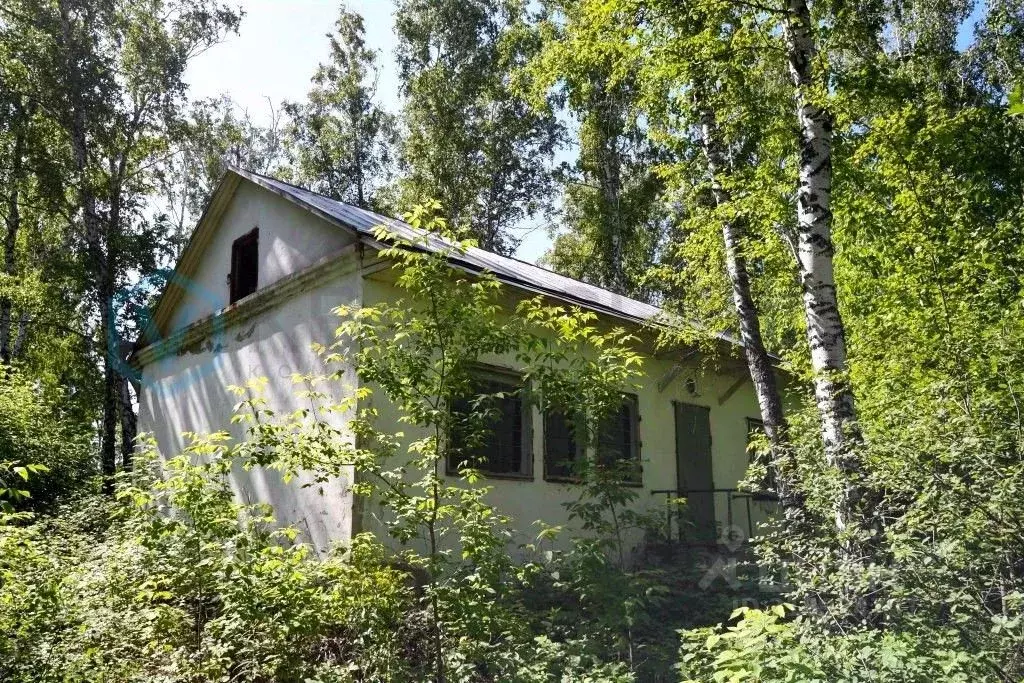 Дом в Омская область, Омский район, Чернолучинский дп Курортная ул. ... - Фото 0