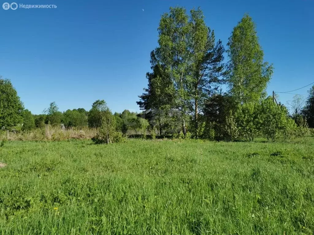 Участок в Вологодский муниципальный округ, деревня Дюково (15 м) - Фото 1